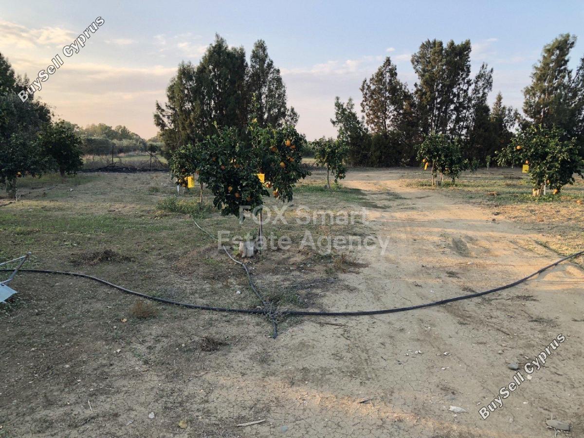land for sale palaiometocho nicosia 1151768 image 5141585