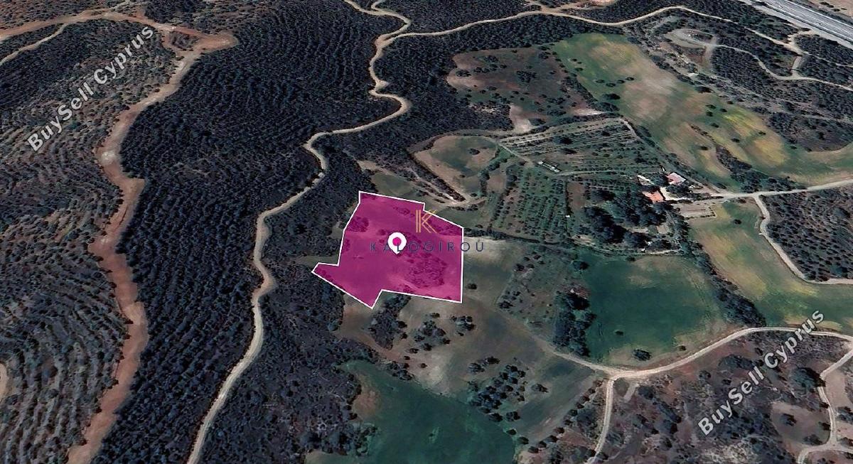 land for sale kofinou larnaca 1649868 image 5661930