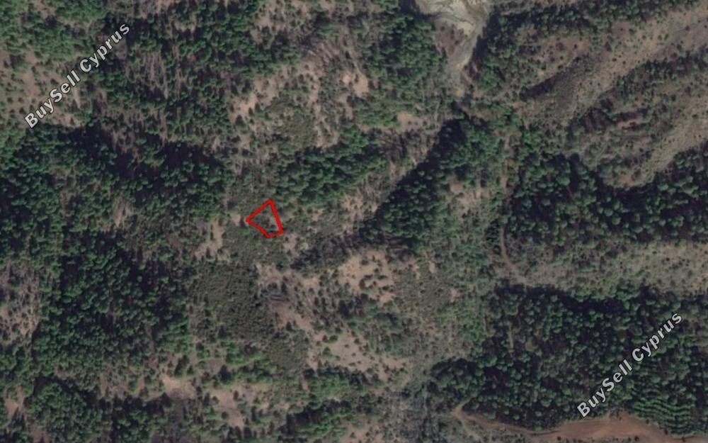 land for sale pigenia nicosia 829868 image 12843167