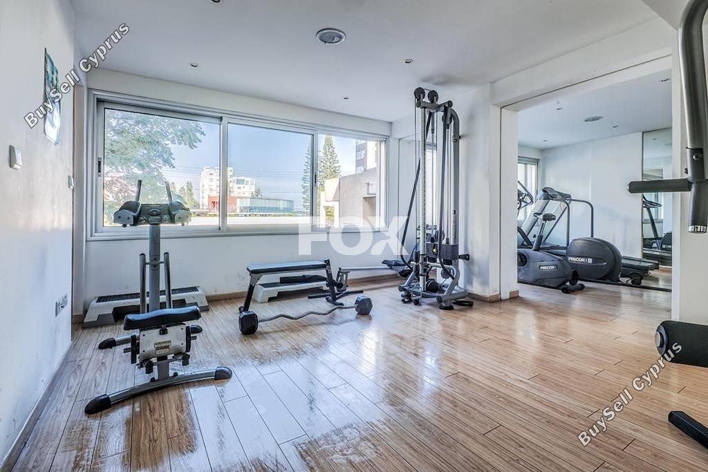 2 bedroom apartment for rent limassol municipality limassol 8856968 image 17306587