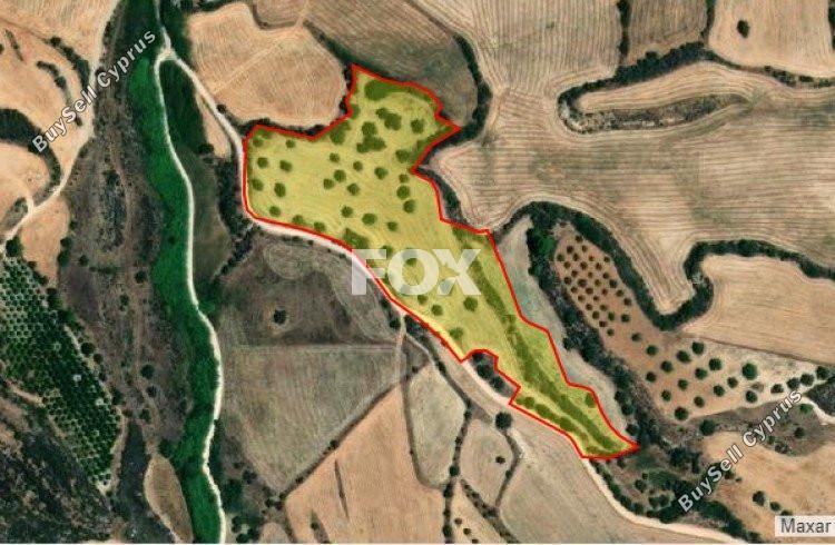 22223 SQM Land for sale in Steni, Paphos 5534636