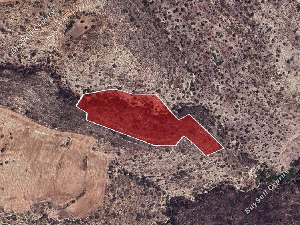 land for sale agios theodoros larnacas larnaca 1256968 image 10737885