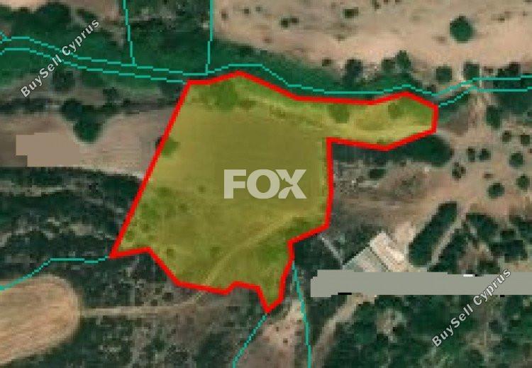 land for sale neo chorio paphos 1158968 image 7137262