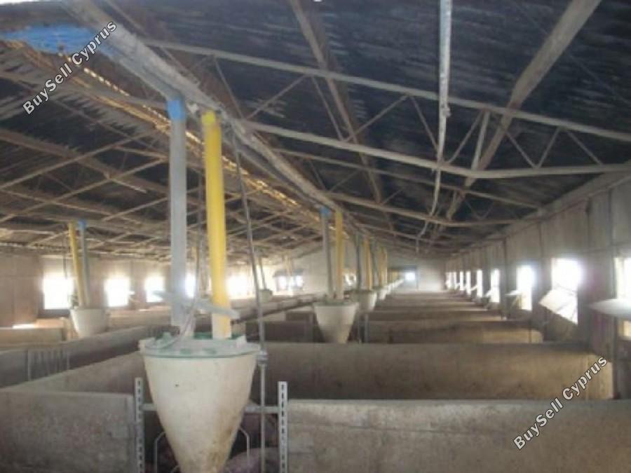 studio building for sale aradippou larnaca 7738968 image 12567070