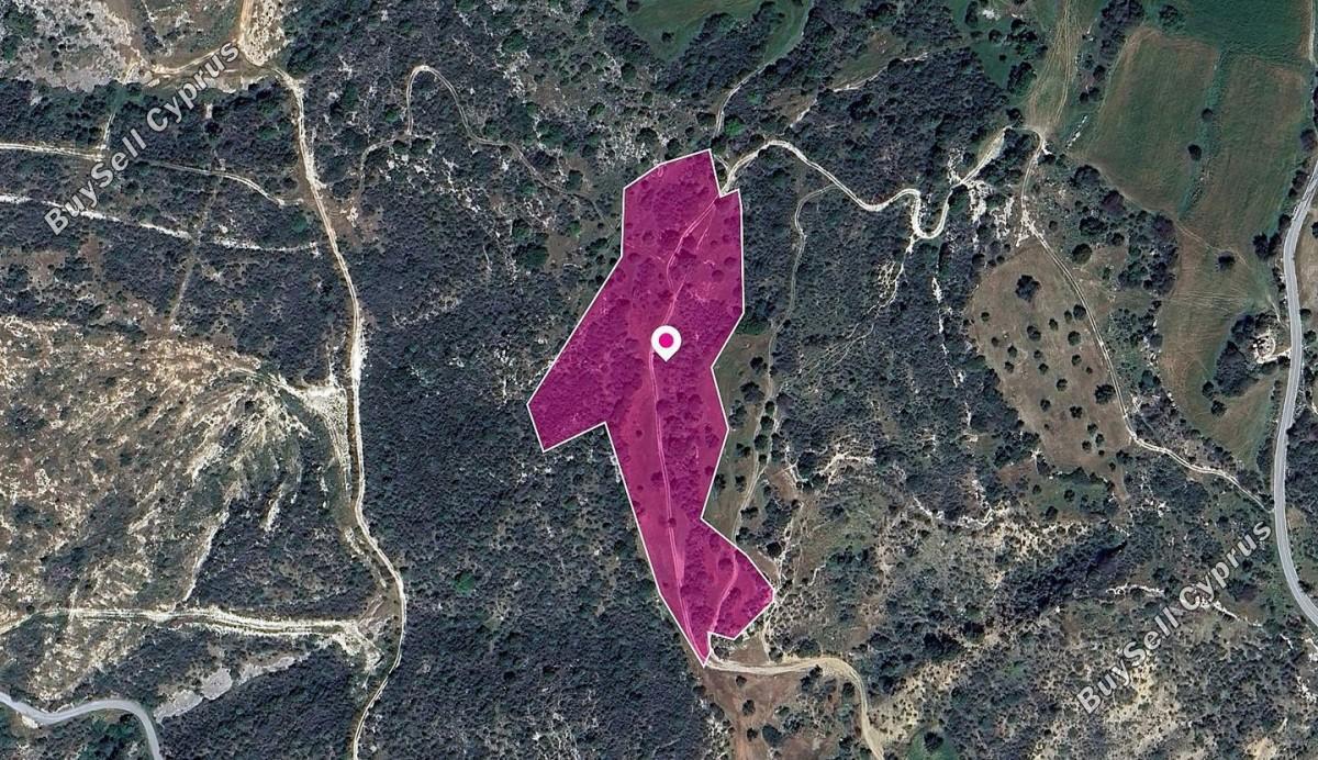16390 SQM Land for sale in Agios Isidoros, Paphos 14823596