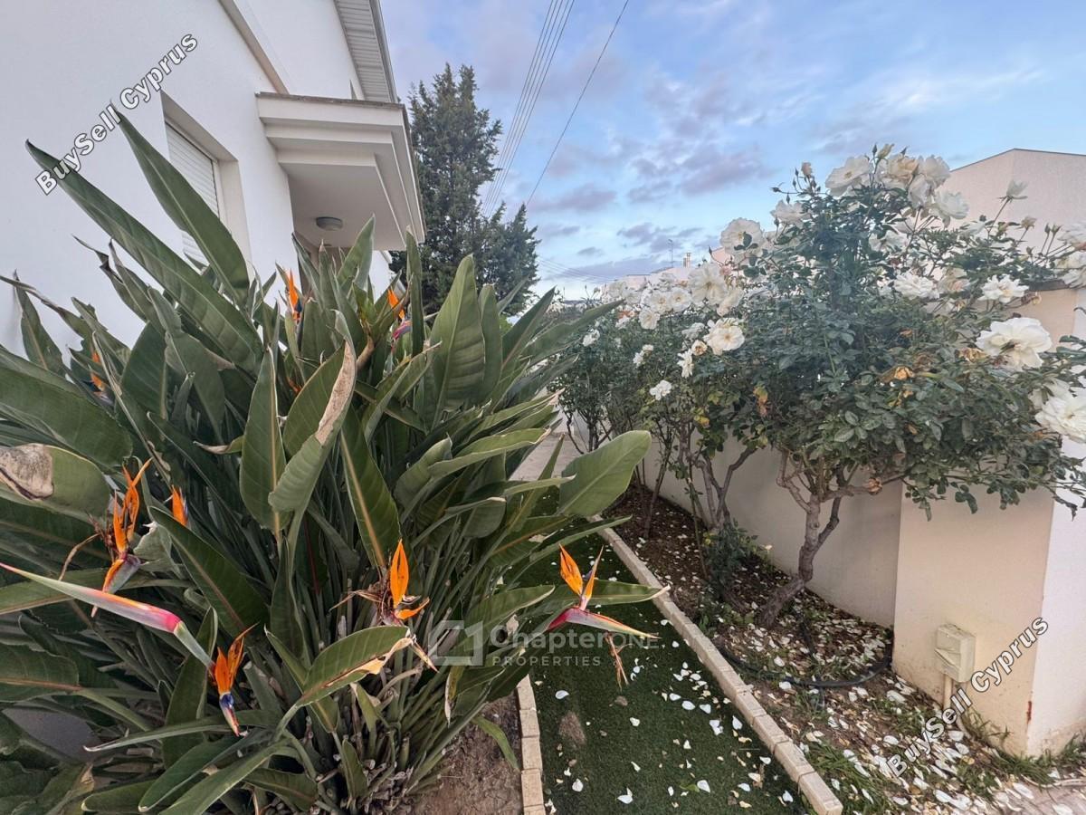 5 bedroom detached house for sale strovolos nicosia 8360078 image 14791650