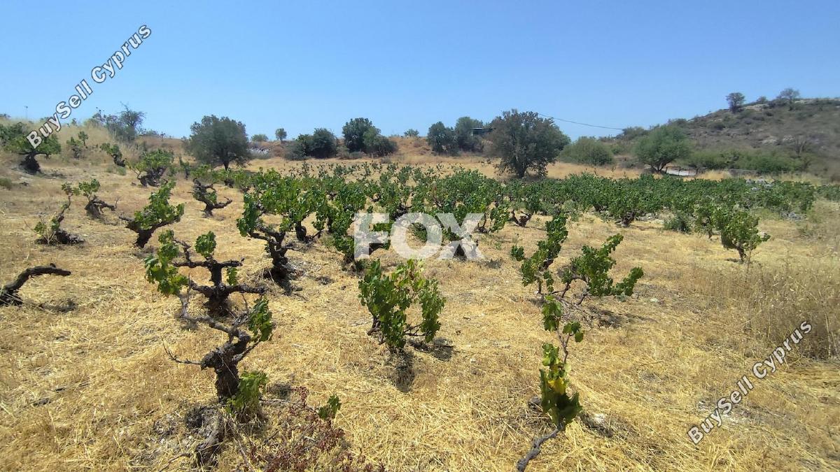land for sale agios ambrosios limassol 1309078 image 7547322