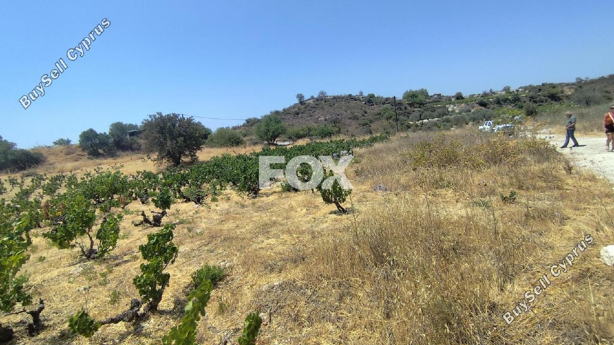 land for sale agios ambrosios limassol 1309078 image 7547324