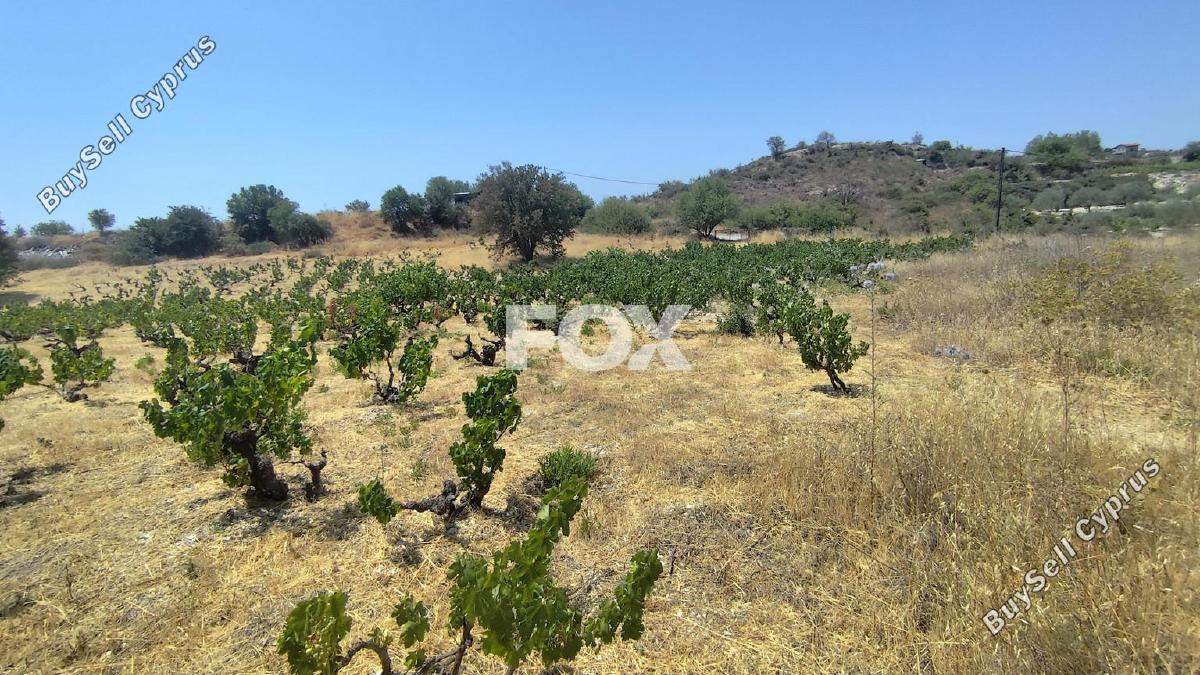 land for sale agios ambrosios limassol 1309078 image 7547325