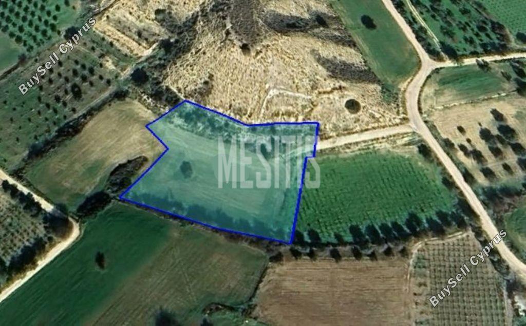 land for sale anafotida larnaca 8004078 image 12752626