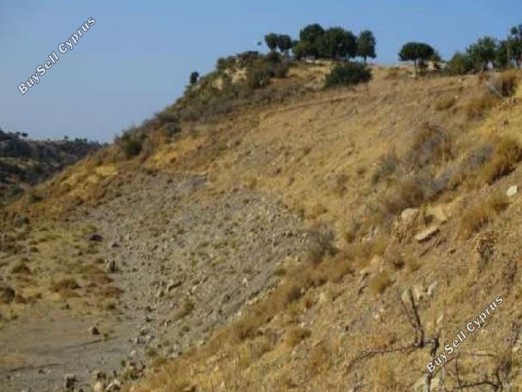 land for sale peyia paphos 823078 image 15599638