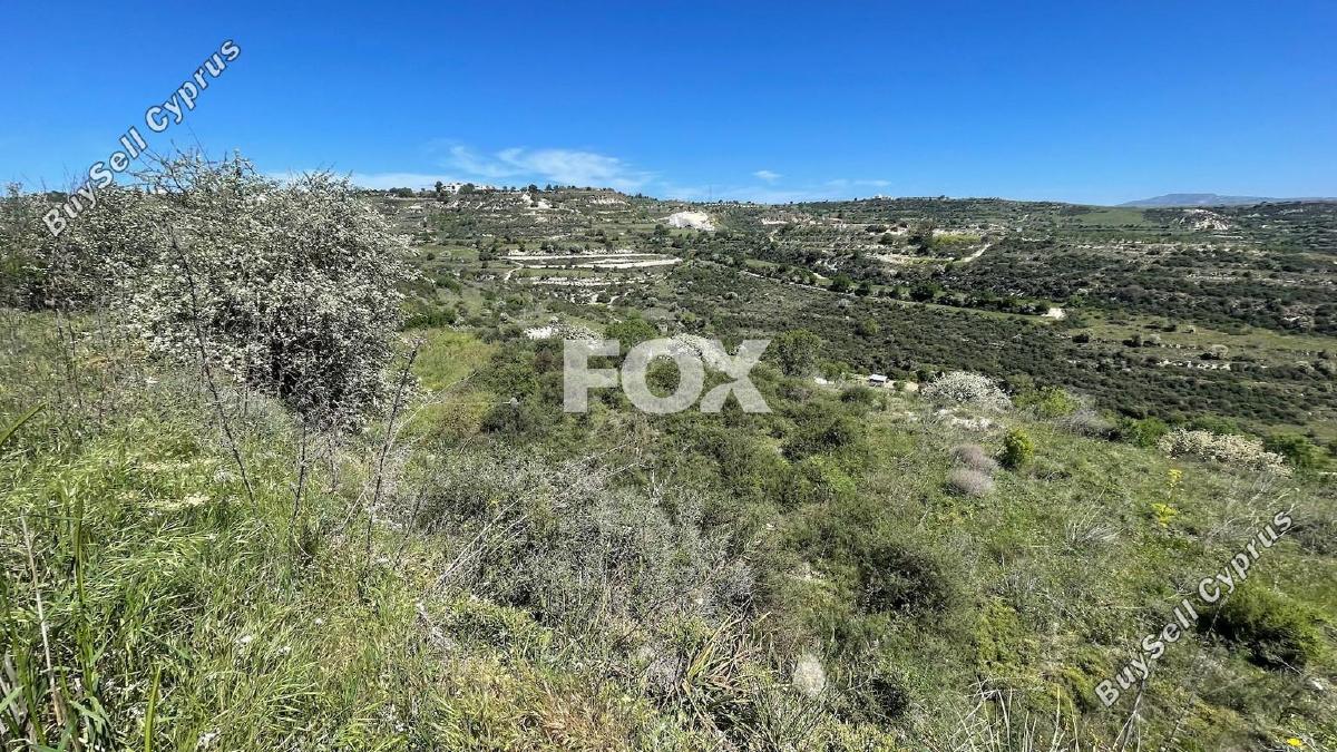 land for sale tsada paphos 1413078 image 5913109