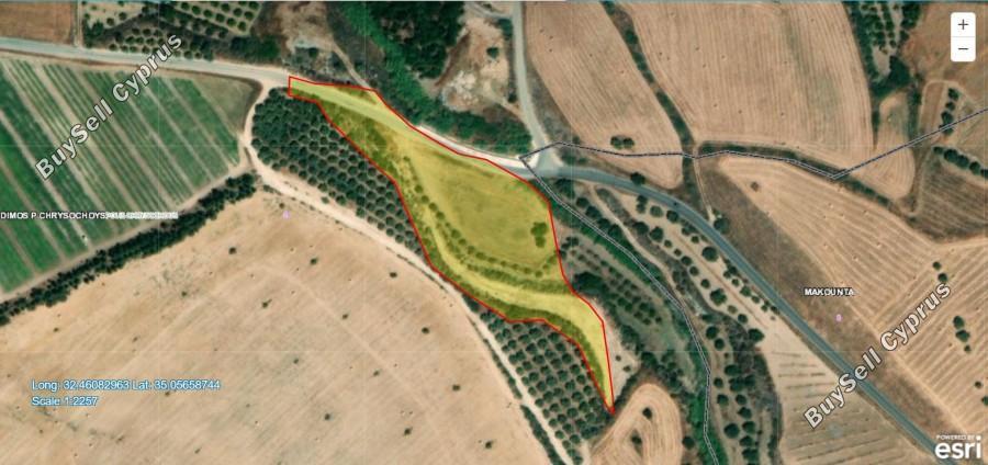 land for sale makounta paphos 7738178 image 10199386