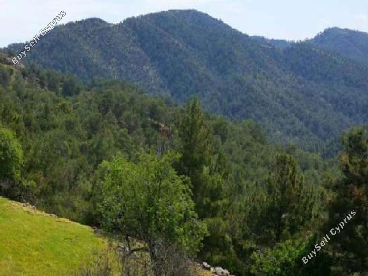 land for sale pigenia nicosia 8716178 image 16294803