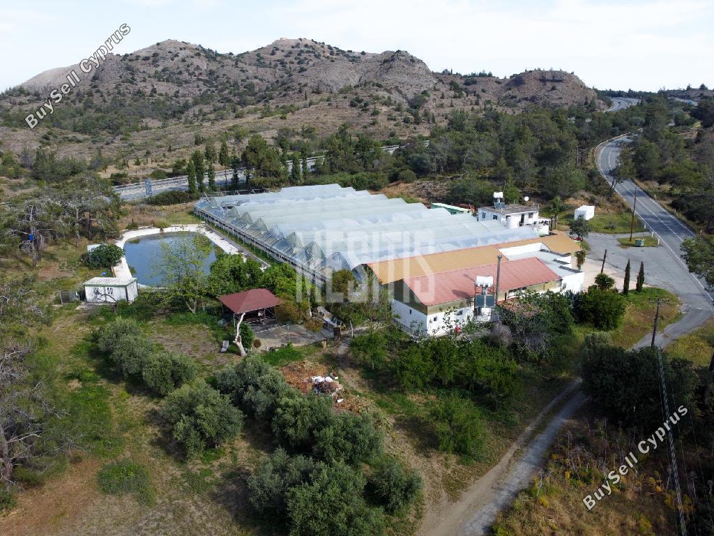 studio building for sale kornos larnaca 8287178 image 14038321