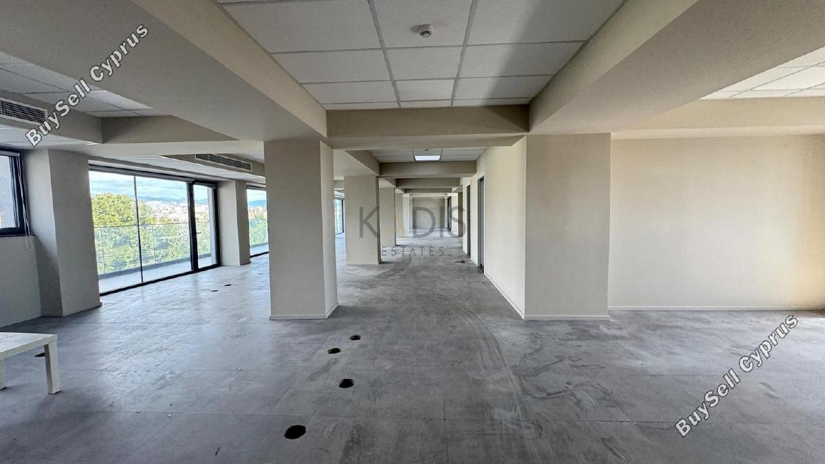 studio office for rent zakaki limassol 1710178 image 6779880