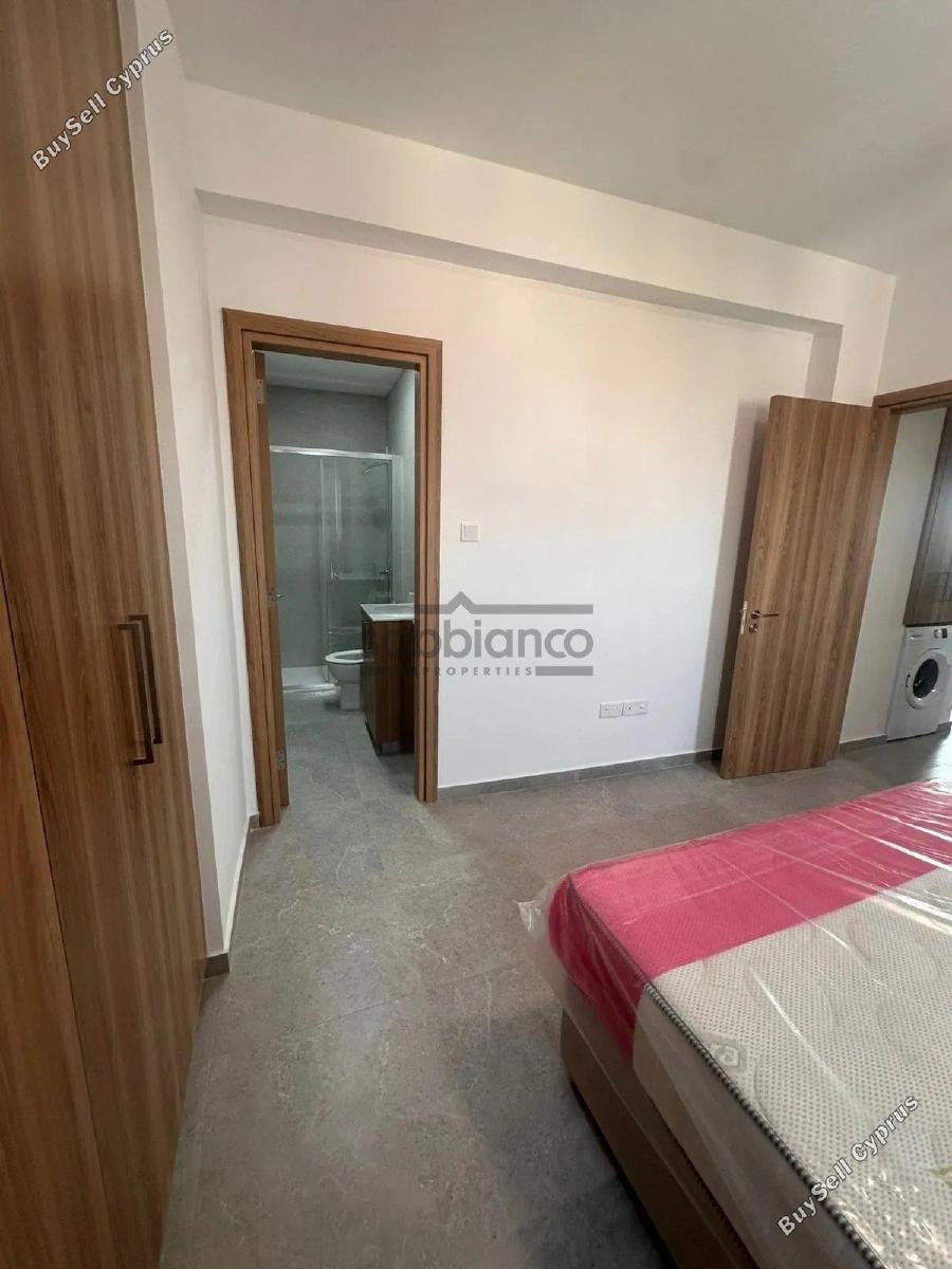 2 bedroom apartment for rent aradippou larnaca 8740278 image 16380100