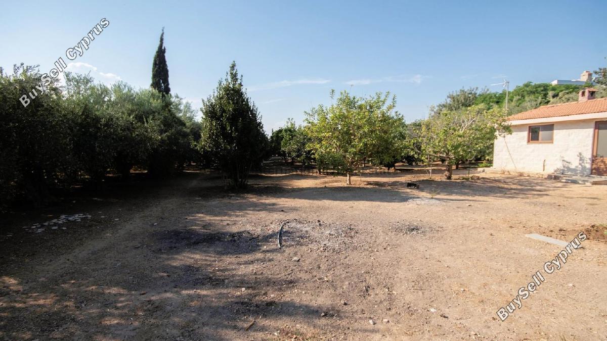 5 bedroom detached house for sale pervolia larnaca 7543278 image 14185465