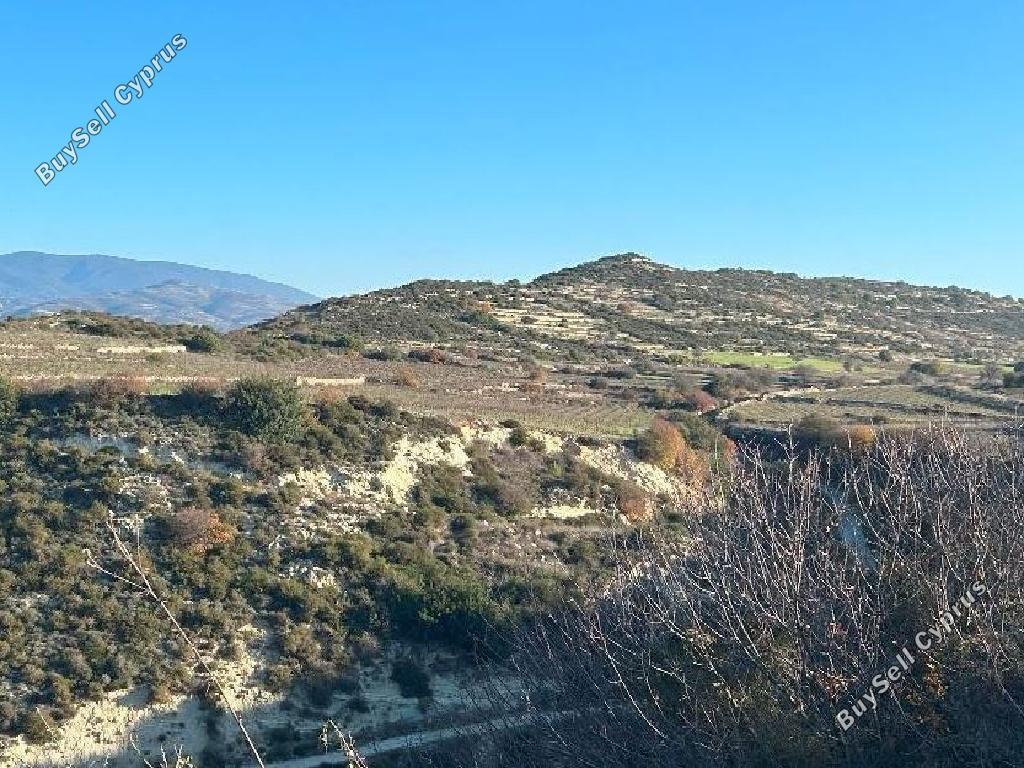 land for sale pachna limassol 8716278 image 16296056