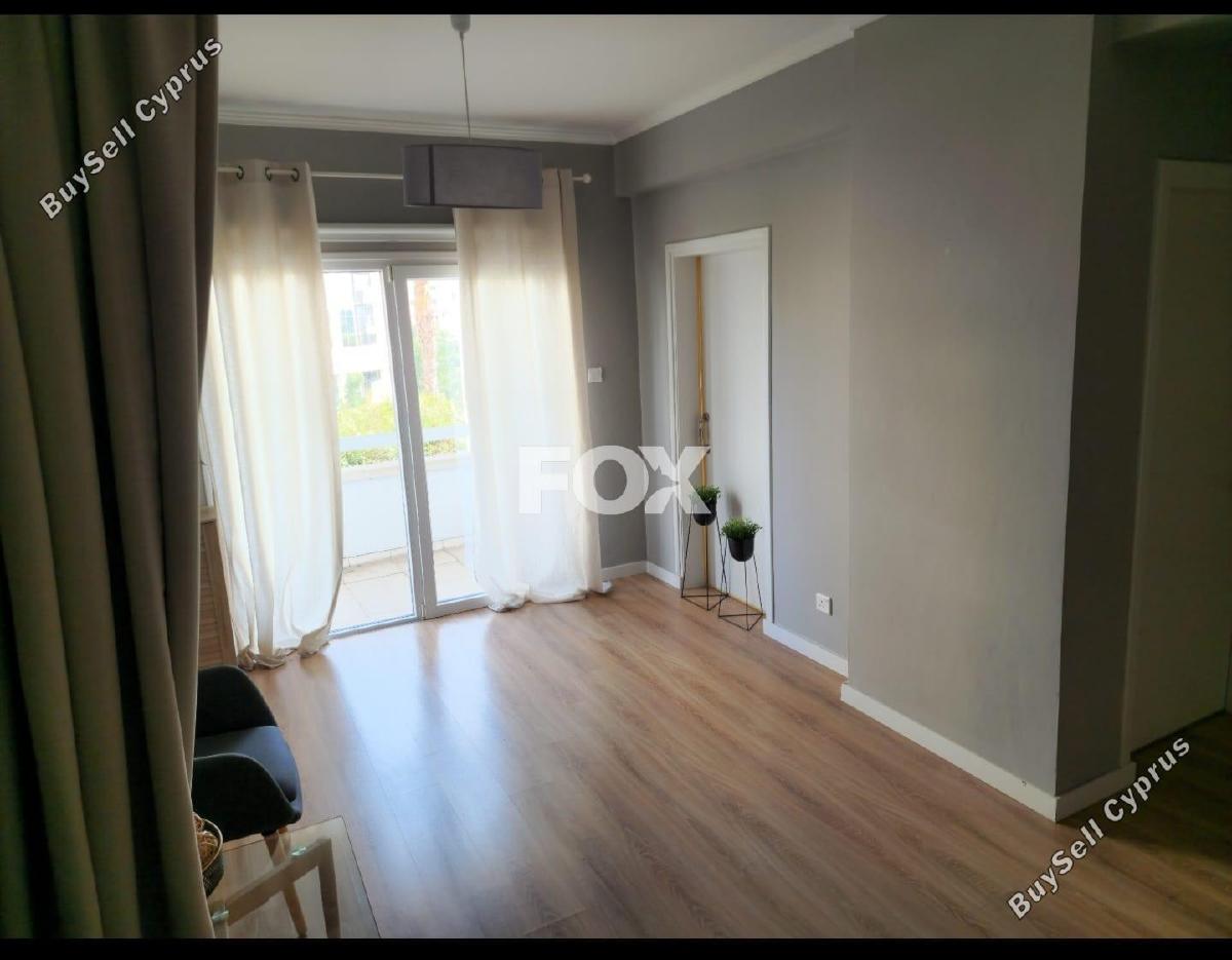 studio office for rent agios nektarios limassol 8833278 image 17001416