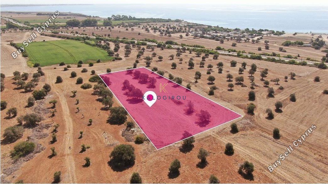 land for sale mazotos larnaca 1221378 image 7235294