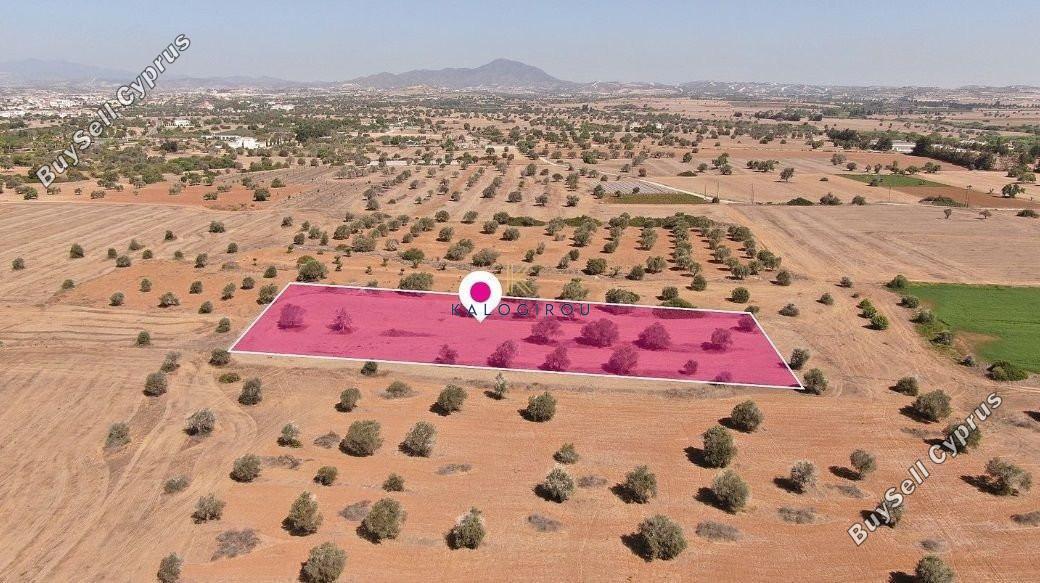 land for sale mazotos larnaca 1221378 image 7235295