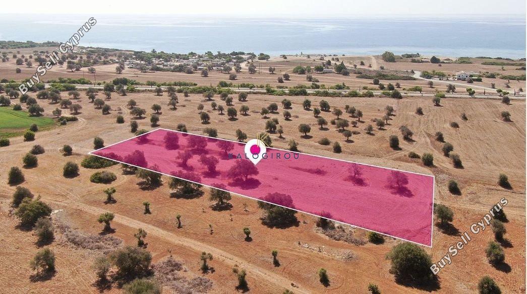 land for sale mazotos larnaca 1221378 image 7235296