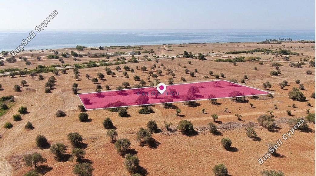 land for sale mazotos larnaca 1221378 image 7235297