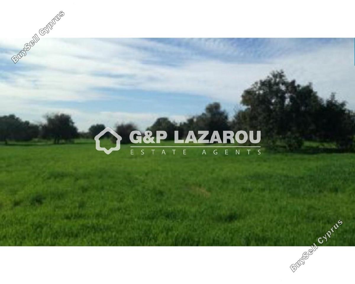 land for sale mazotos larnaca 1689378 image 5343303