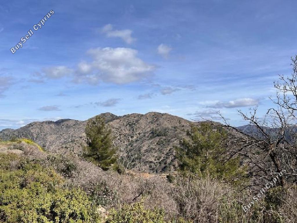 land for sale palaichori morfou nicosia 8140378 image 15596243