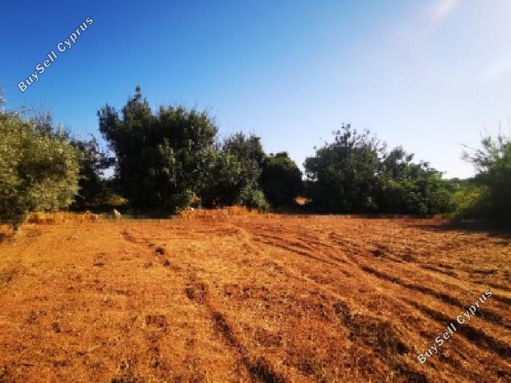 land for sale paralimni famagusta 1353478 image 15867425