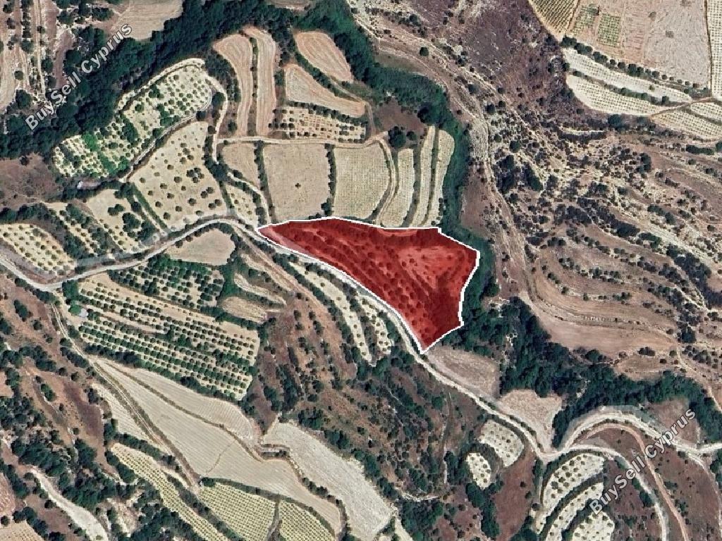 land for sale kallepeia paphos 8395578 image 15620601