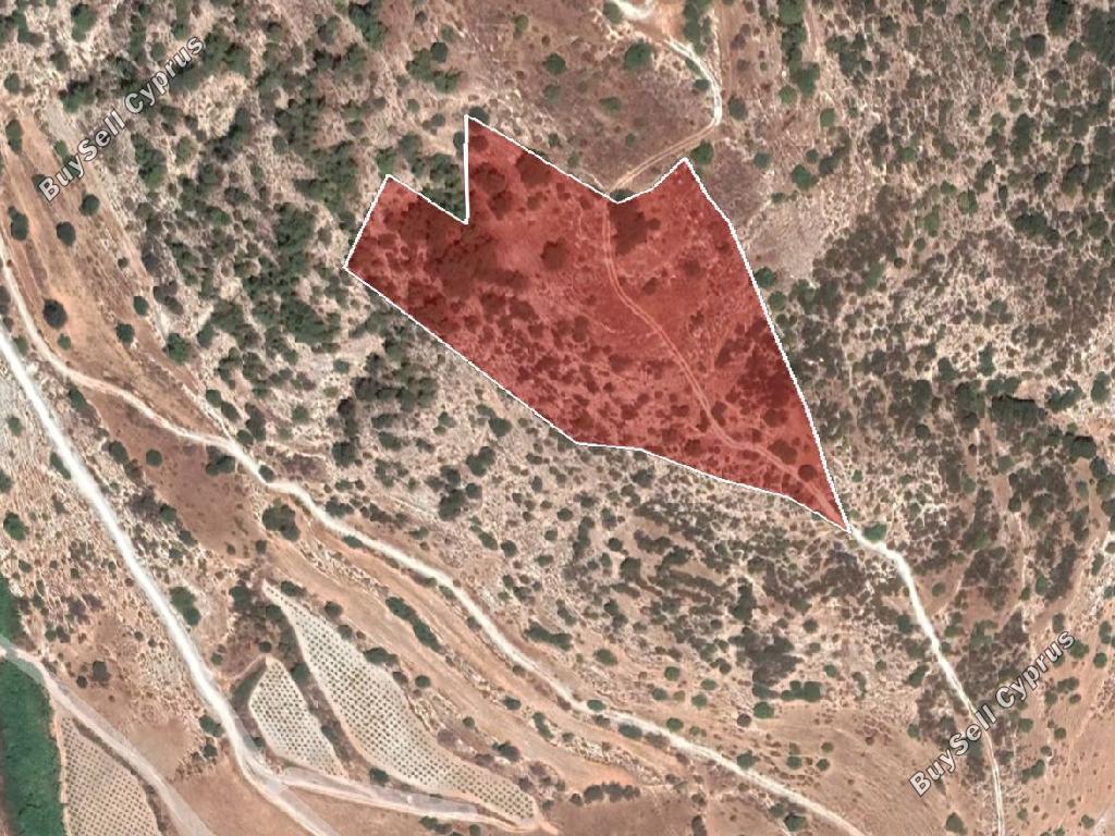 land for sale kallepeia paphos 910578 image 15600166