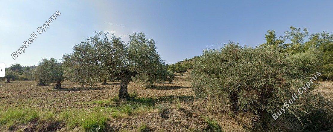 land for sale shia nicosia 8897578 image 17348216