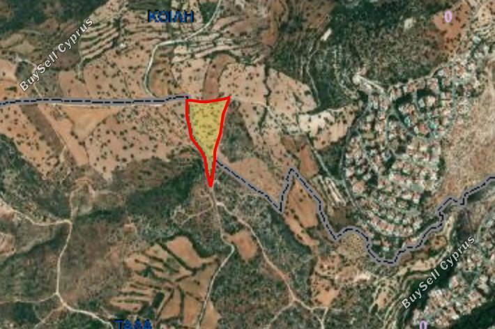 plot for sale koili paphos 7862578 image 14232741