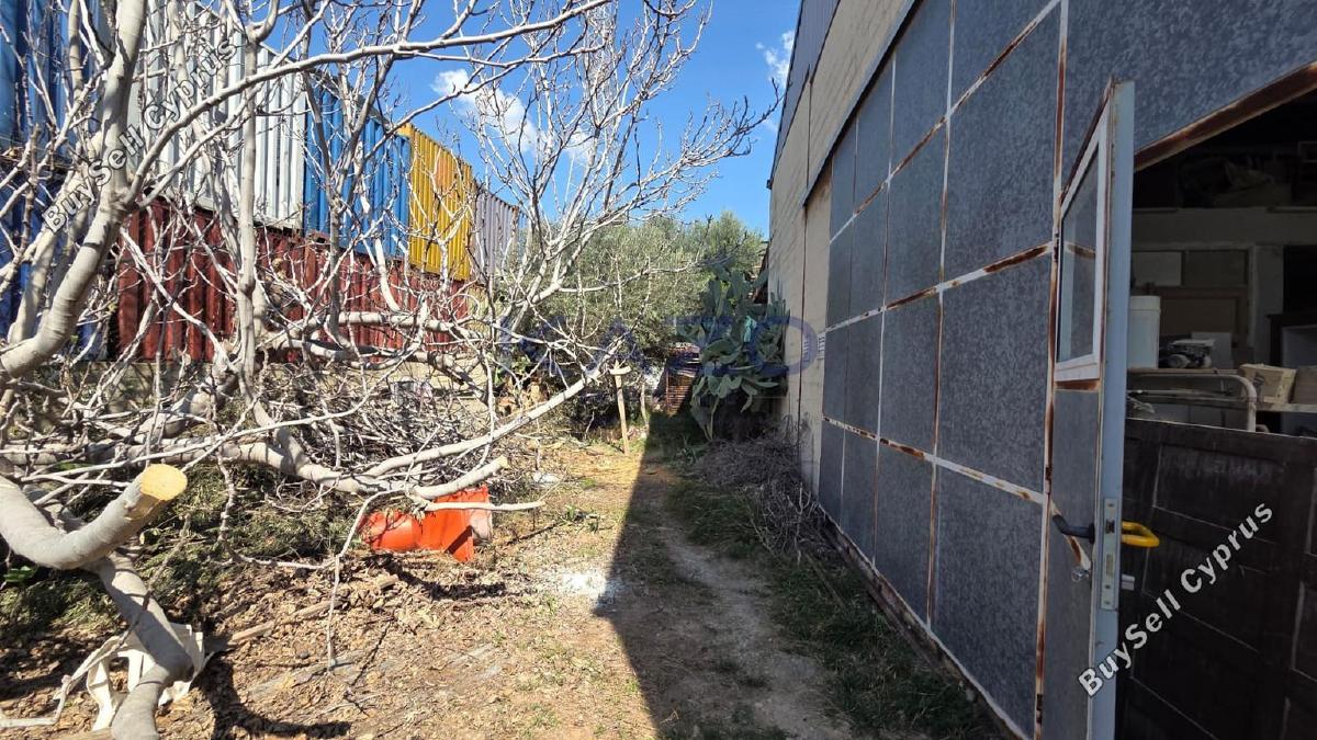 studio warehouse for sale agios silas limassol 8350678 image 14432591
