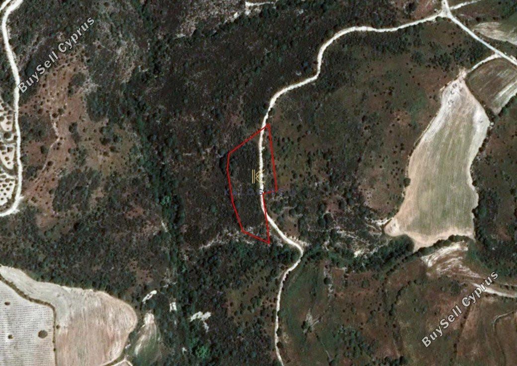 land for sale dora limassol 1194778 image 5570539