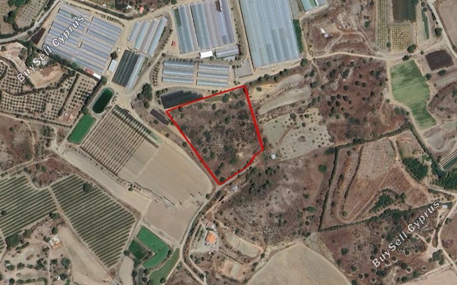 land for sale monagroulli limassol 7810778 image 16932839