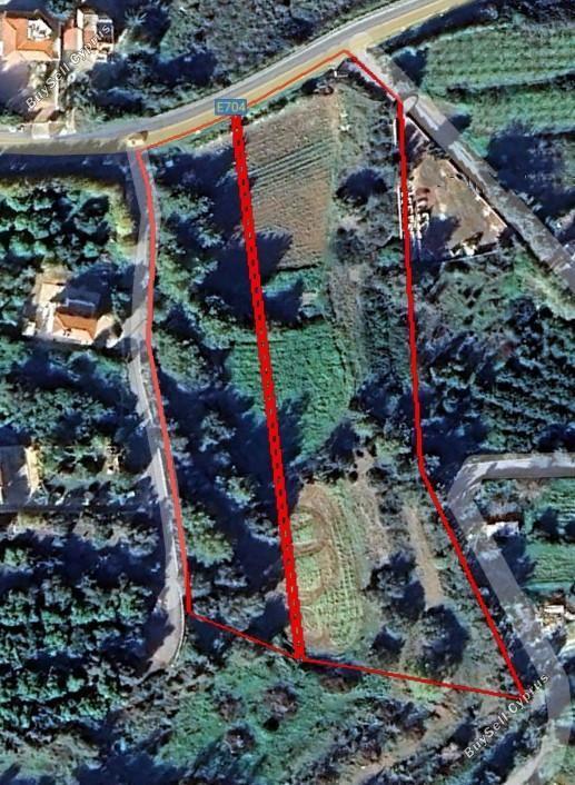 10374 SQM Plot for sale in Nea Dimmata, Paphos 10266043