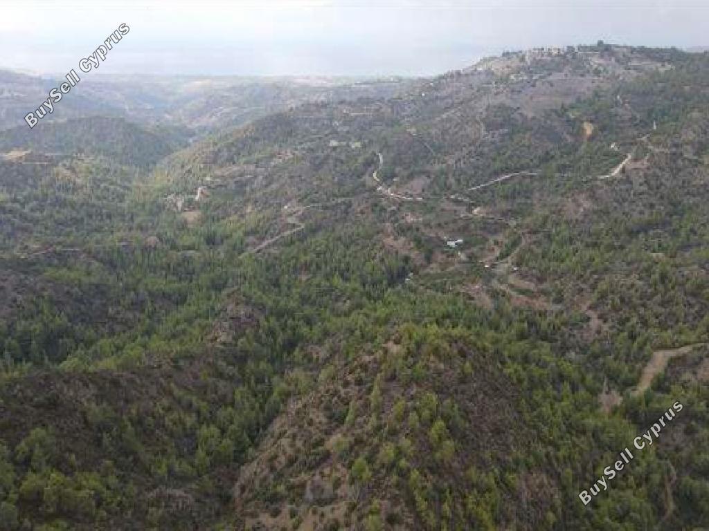 59198 SQM Land for sale in Lysos, Paphos 15597962