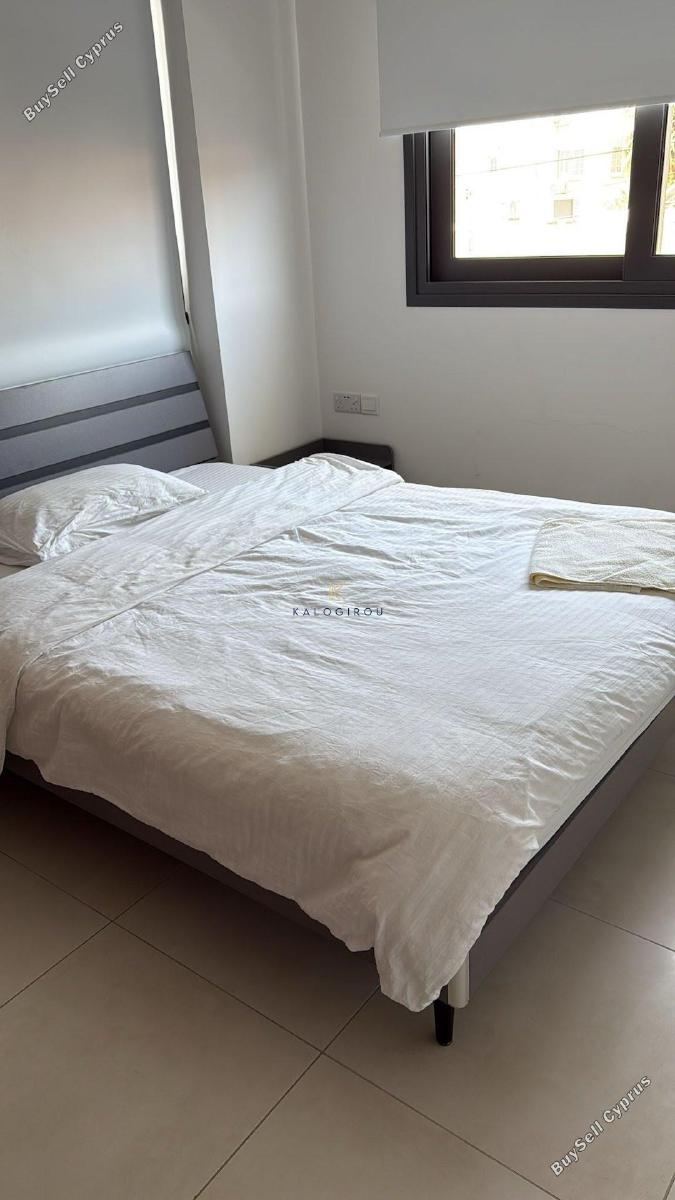 1 bedroom apartment for rent larnaca municipality larnaca 1836978 image 16530618