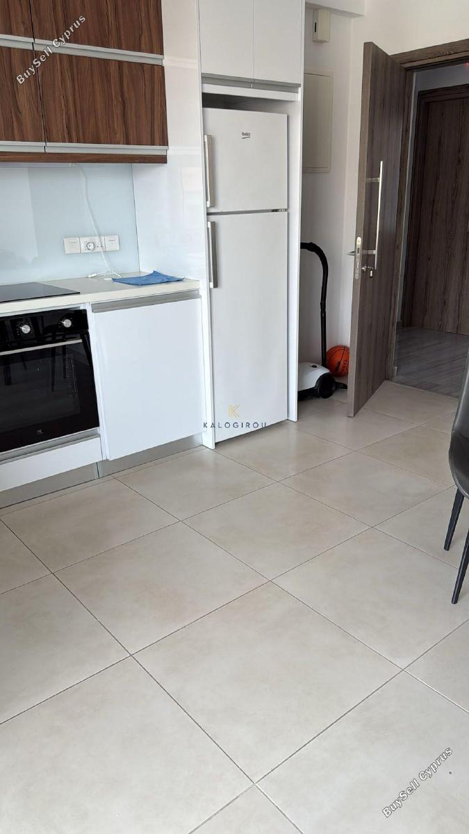 1 bedroom apartment for rent larnaca municipality larnaca 1836978 image 16530619