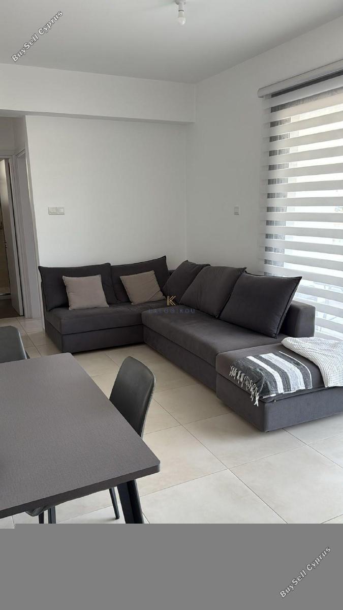 1 bedroom apartment for rent larnaca municipality larnaca 1836978 image 16530622