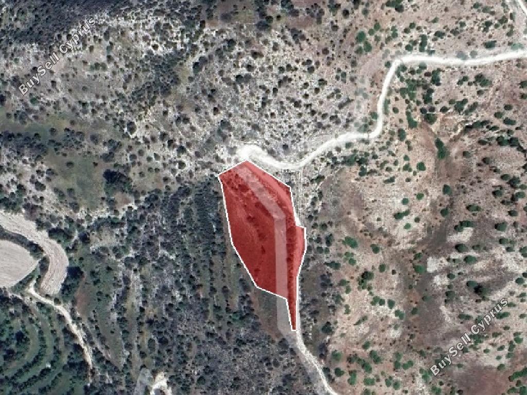 land for sale amargeti paphos 873978 image 15598670