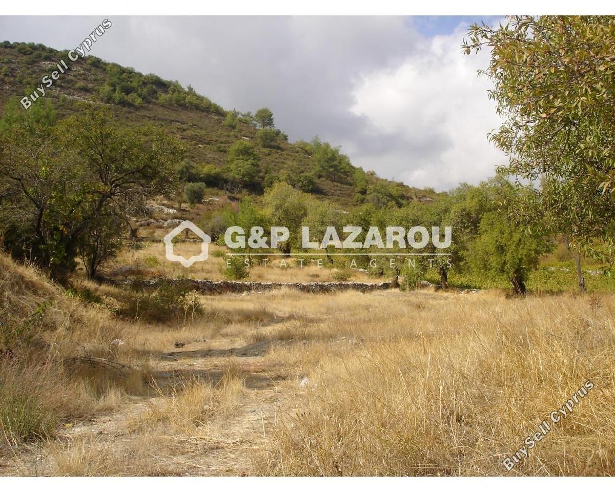land for sale pera pedi limassol 7925978 image 11237335