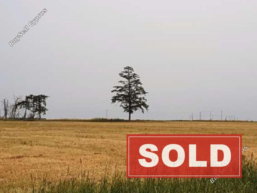 land sold ormideia larnaca 915978 image 798335