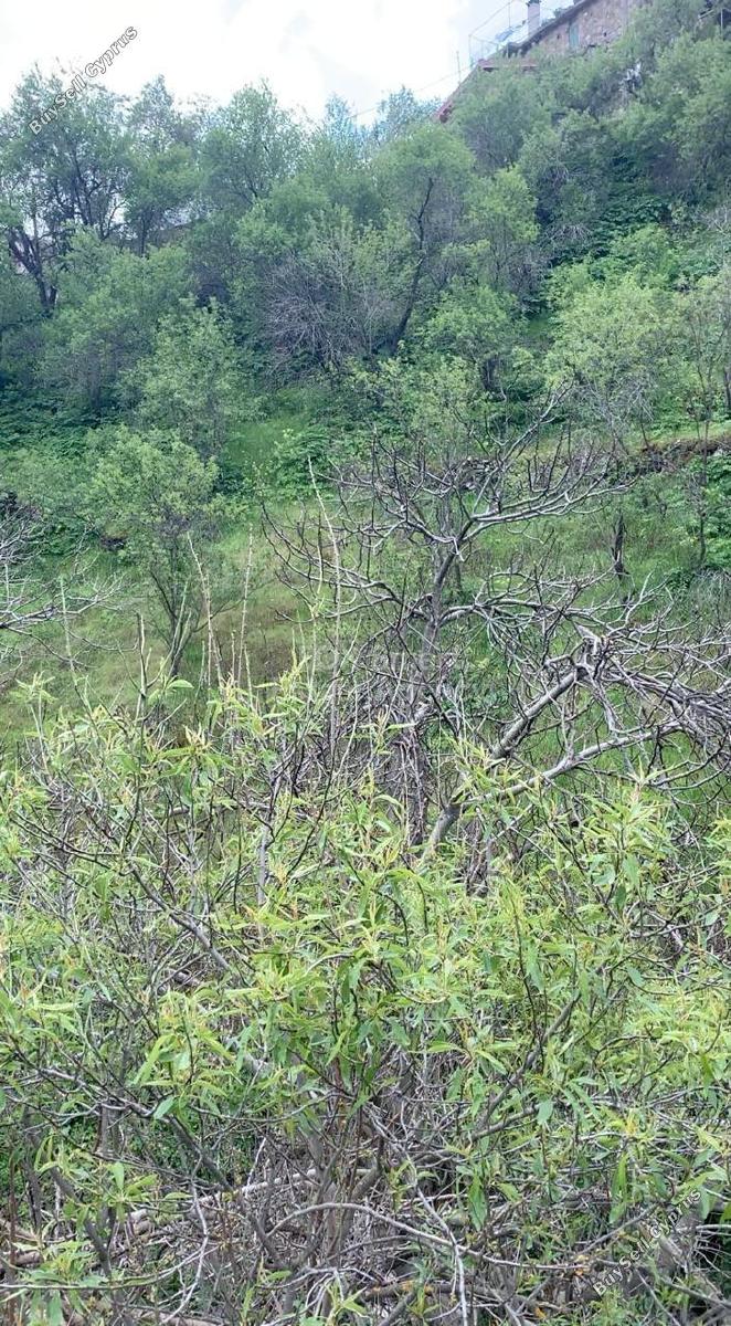 plot for sale askas nicosia 1935978 image 13630691