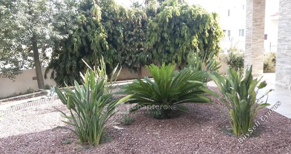 4 bedroom detached house for rent strovolos nicosia 8898088 image 17716647