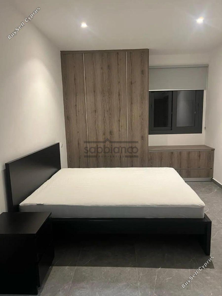 2 bedroom apartment for rent makedonitissa nicosia 8741188 image 16389866