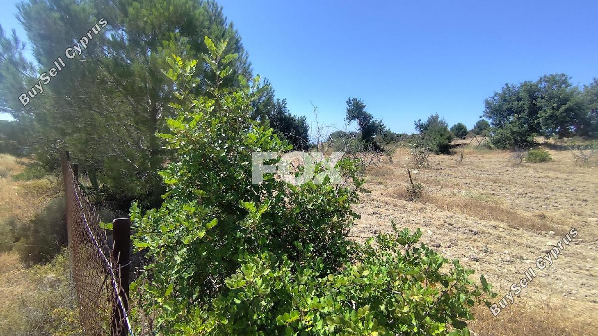 land for sale anogyra limassol 8908188 image 17399086